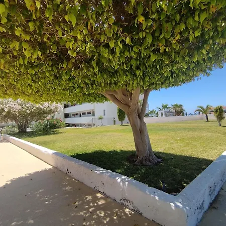 Sol Del Sur Ocean View *