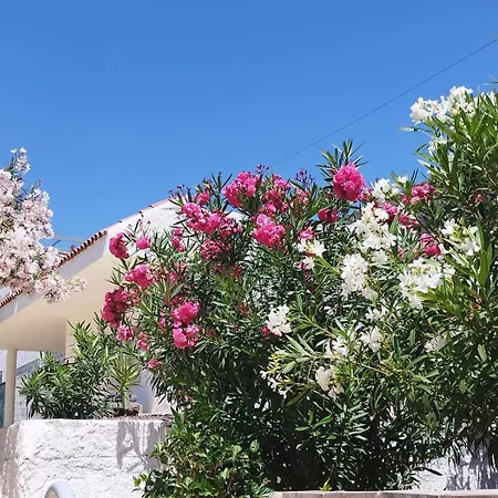 Sol Del Sur Ocean View Puerto de Santiago (Tenerife)