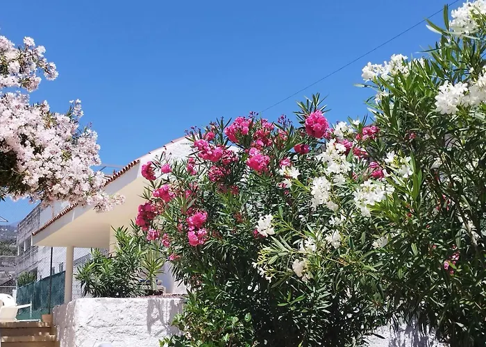 Sol Del Sur Ocean View Puerto de Santiago (Tenerife)