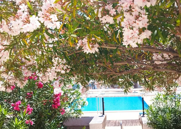 Sol Del Sur Ocean View Apartament Puerto de Santiago (Tenerife)