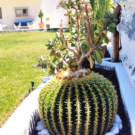 Sol Del Sur Ocean View Puerto de Santiago (Tenerife)