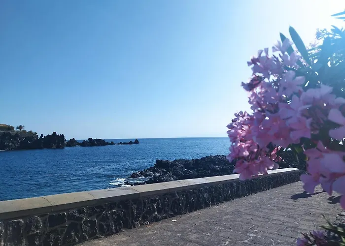 Apartment Sol Del Sur Ocean View *