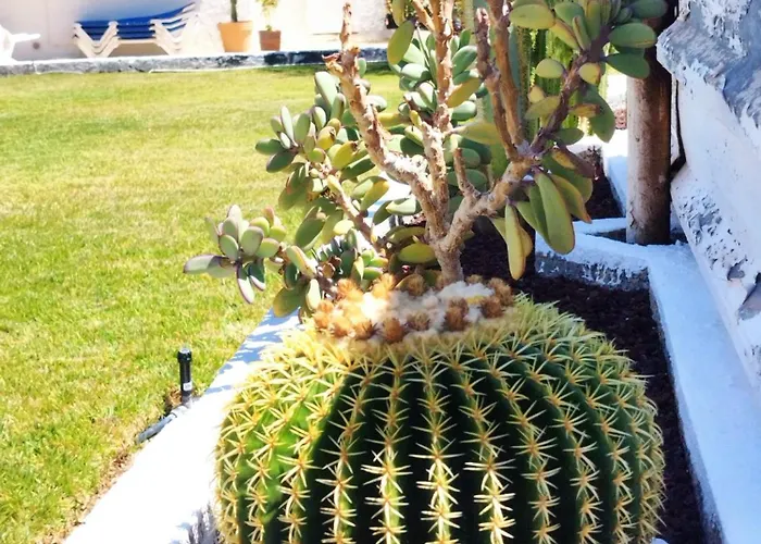 Sol Del Sur Ocean View Puerto de Santiago (Tenerife)